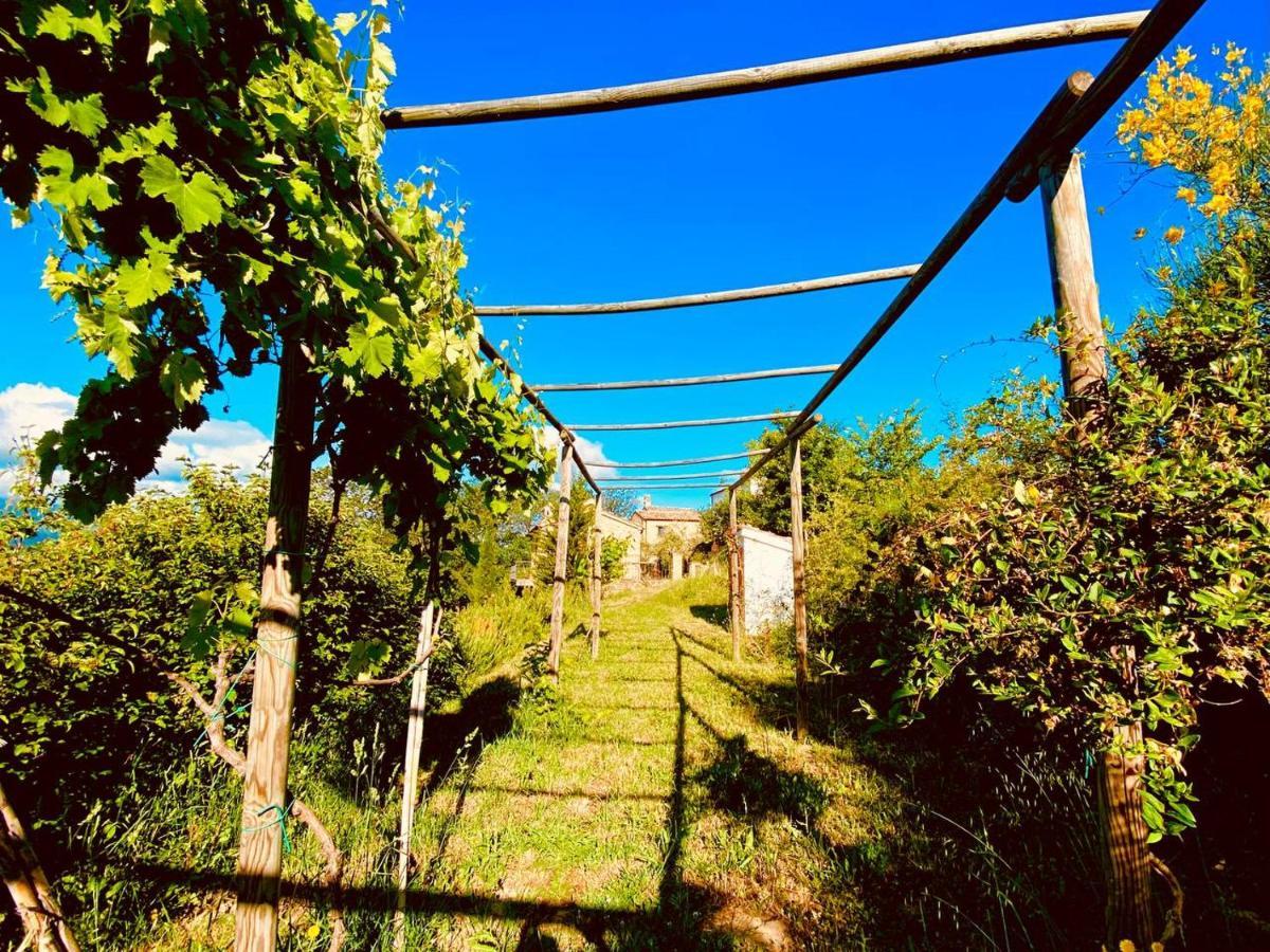 Borgo Del Ginepro * Castiglione Messer Raimondo