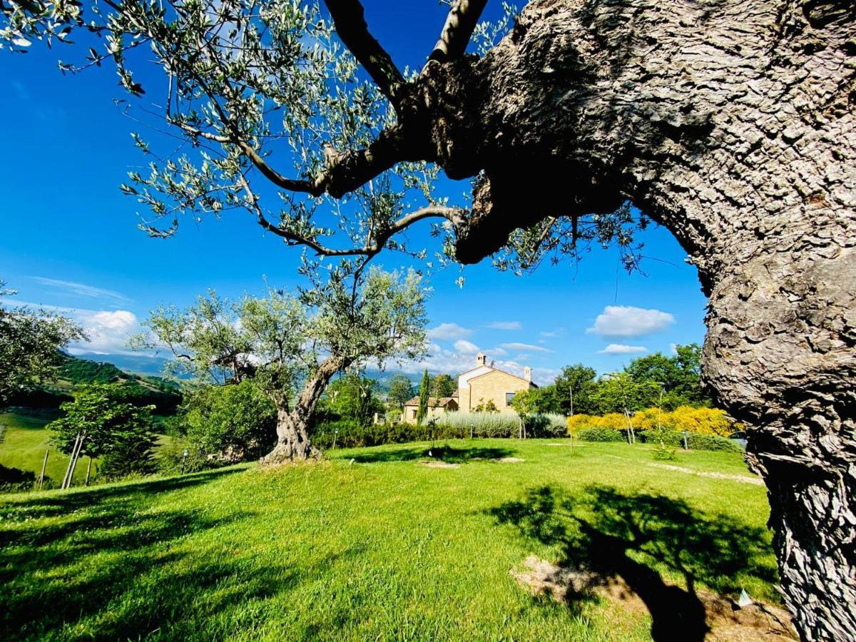 Agriturismo Borgo Del Ginepro Farm stay *
