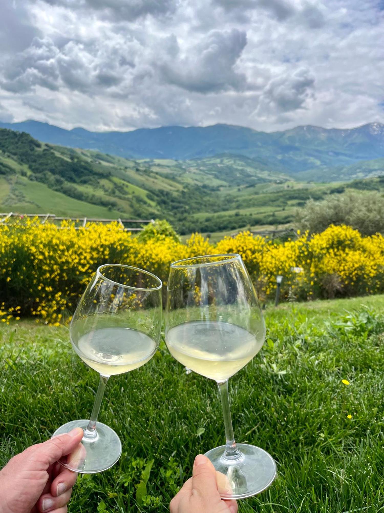 Borgo Del Ginepro Castiglione Messer Raimondo